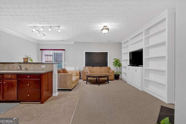 carpeted living room featuring a textured ceiling, ornamental molding, and sink