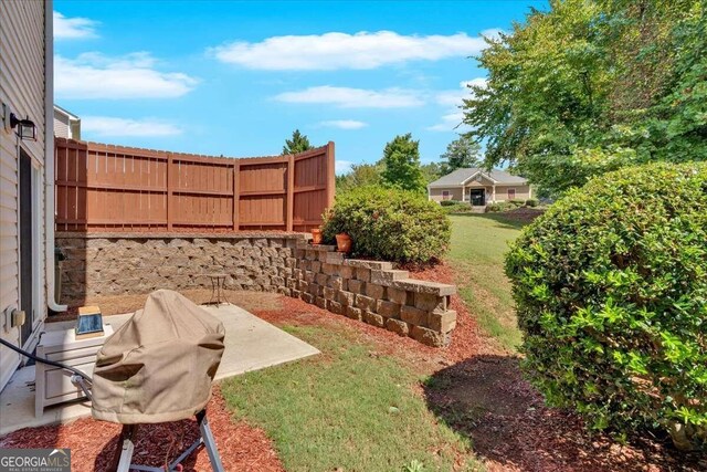 view of yard with a patio