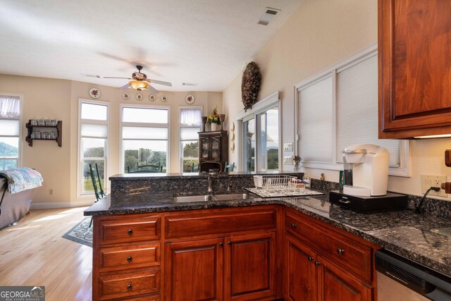 199 Colonsay Trce, Blairsville, GA 30512 - kitchen with visible vents, plenty of natural light, dishwasher, and a sink