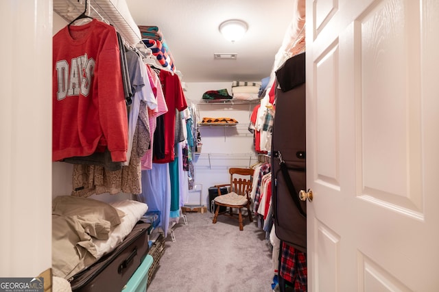 spacious closet with light carpet