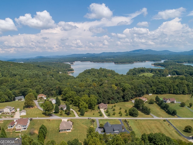 199 Colonsay Trce, Blairsville, GA 30512 - drone / aerial view featuring a view of trees and a water and mountain view