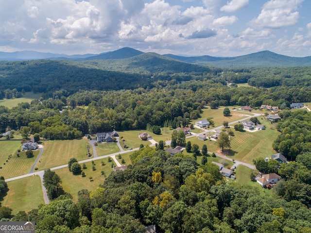 birds eye view of property featuring a mountain view