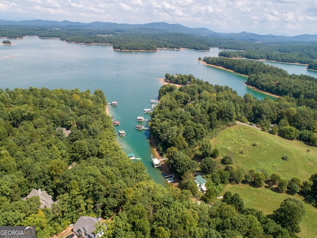 birds eye view of property featuring a water and mountain view