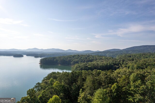 bird's eye view with a water and mountain view