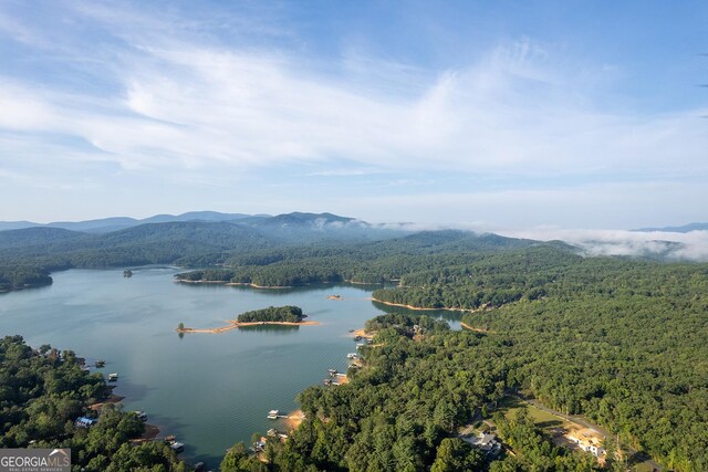 property view of water featuring a mountain view