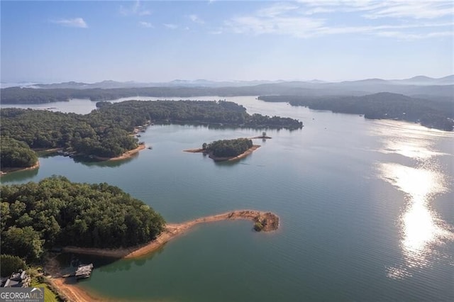 birds eye view of property featuring a water and mountain view