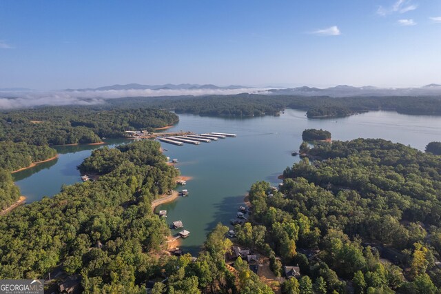 aerial view featuring a water and mountain view