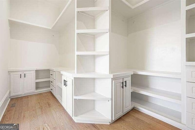 walk in closet featuring light hardwood / wood-style floors