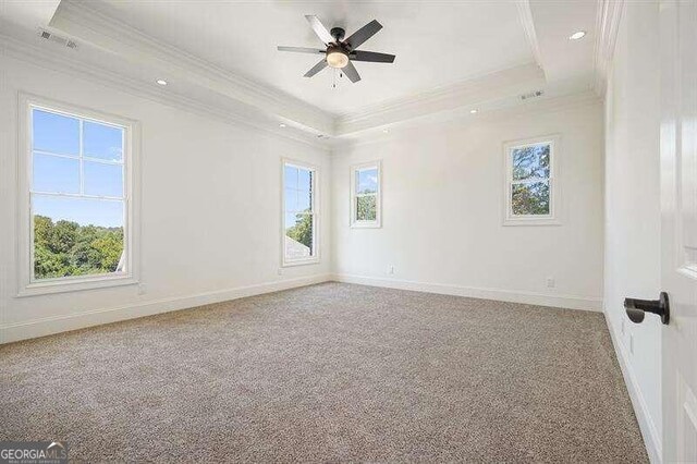 empty room featuring a tray ceiling, a wealth of natural light, carpet floors, and ceiling fan