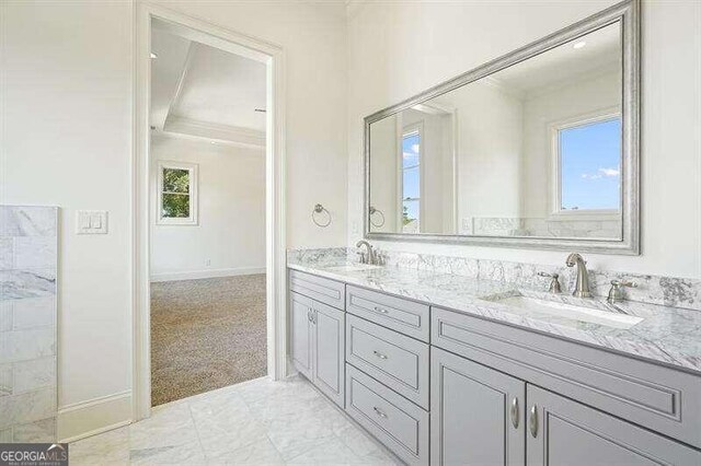 bathroom featuring a healthy amount of sunlight, a raised ceiling, crown molding, and vanity