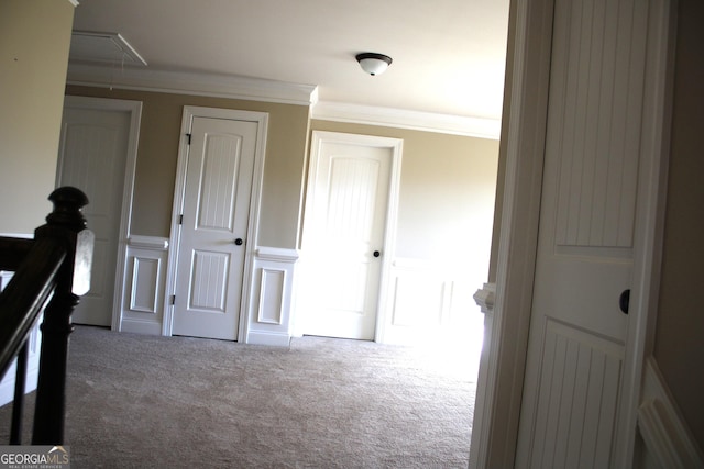 hallway with carpet flooring and crown molding