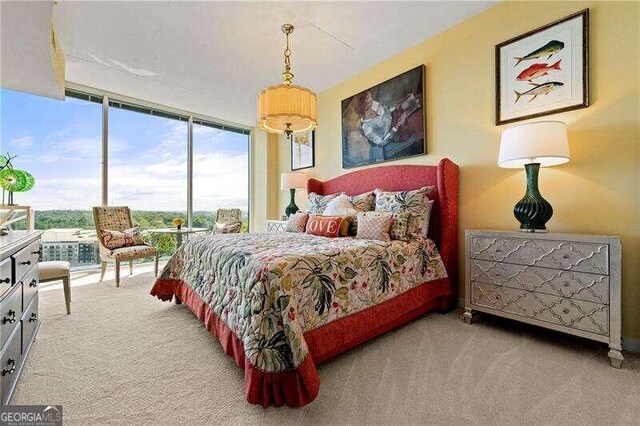 carpeted bedroom with multiple windows and expansive windows