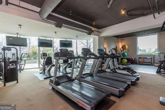 exercise room featuring carpet flooring