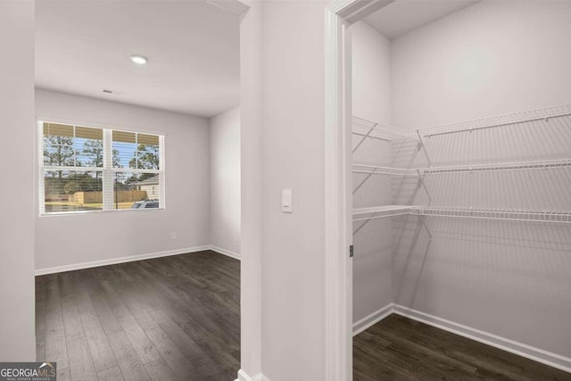 walk in closet featuring dark hardwood / wood-style floors