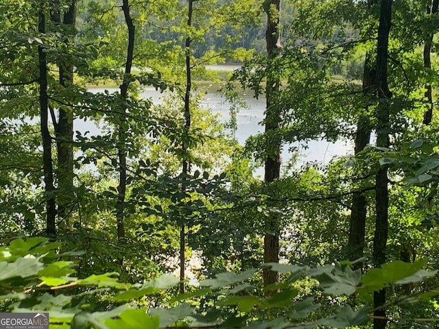 Listing photo 2 for 7.54ACRES Peeksville Rd, Locust Grove GA 30248