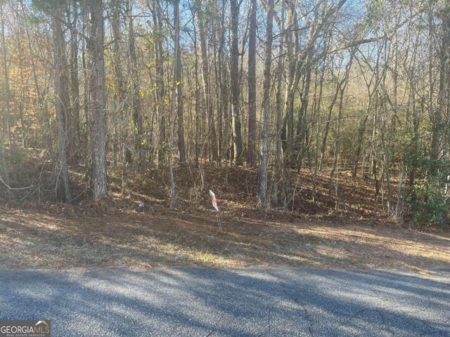 151 Gates Rd, Lizella, GA 31052