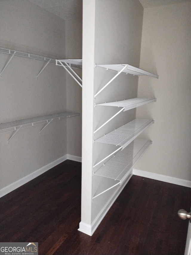 walk in closet featuring hardwood / wood-style floors