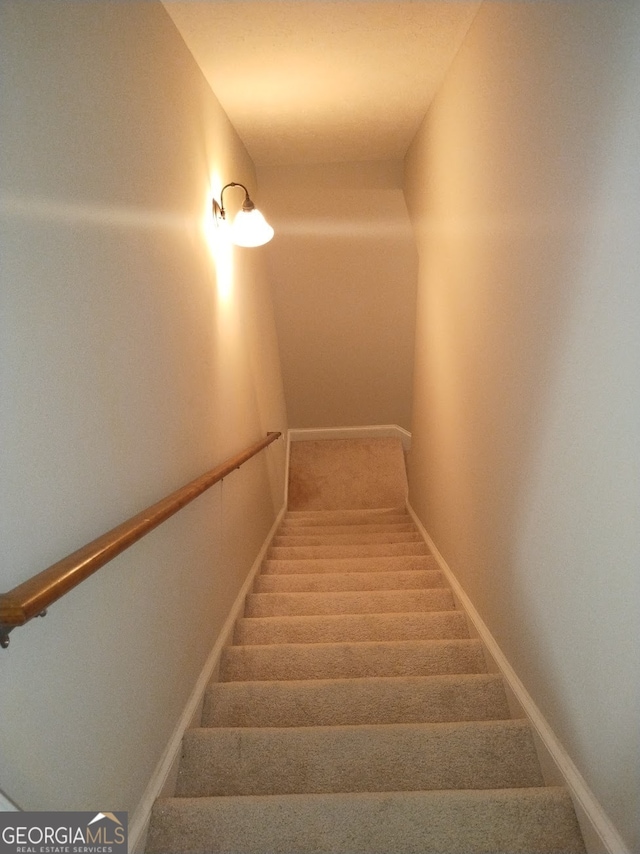 stairway featuring carpet flooring