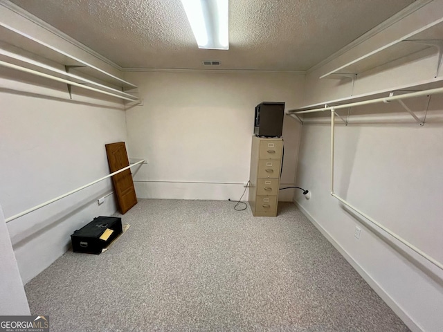 walk in closet featuring carpet