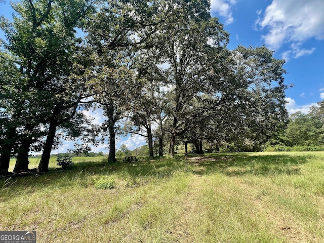 view of landscape featuring a rural view