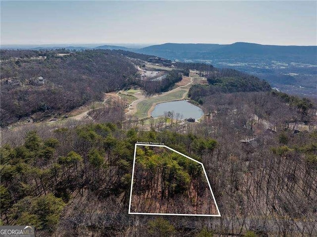 0 Rushing Water Trl, Rising Fawn GA, 30738 land for sale