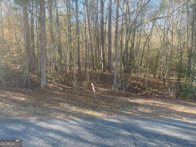 309 Old Mast Cv, Lizella, GA 31052