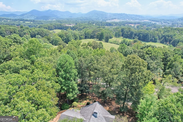 birds eye view of property featuring a mountain view