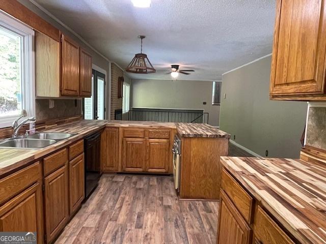 kitchen with hardwood / wood-style floors, pendant lighting, black dishwasher, sink, and a textured ceiling