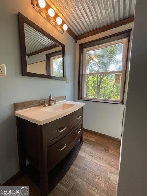 bathroom with vanity and hardwood / wood-style floors