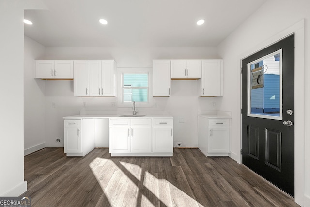 kitchen with white cabinetry, dark wood-type flooring, and sink