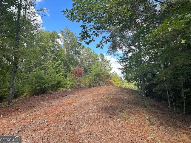 LOT37 Wildflower Rdg, Warne NC, 28909 land for sale