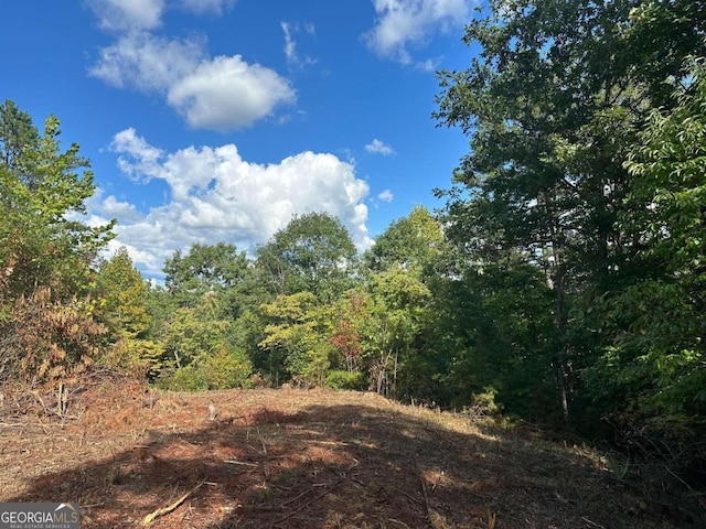 Listing photo 3 for LOT37 Wildflower Rdg, Warne NC 28909