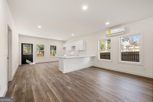 unfurnished living room featuring sink, wood-type flooring, and a wall mounted air conditioner