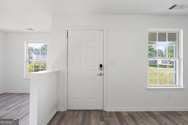 foyer entrance featuring a wealth of natural light, dark hardwood / wood-style flooring, and a textured ceiling