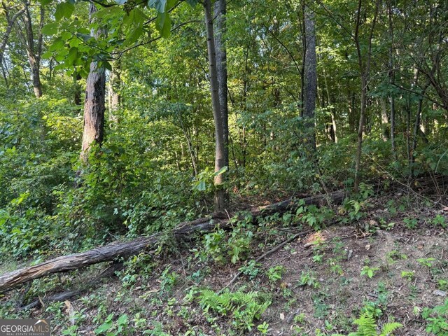 0 Trailwood Dr, Ellijay GA, 30536 land for sale