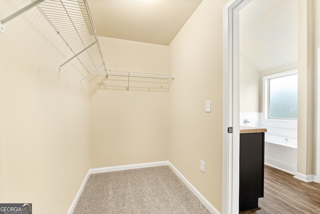 spacious closet featuring lofted ceiling and carpet flooring