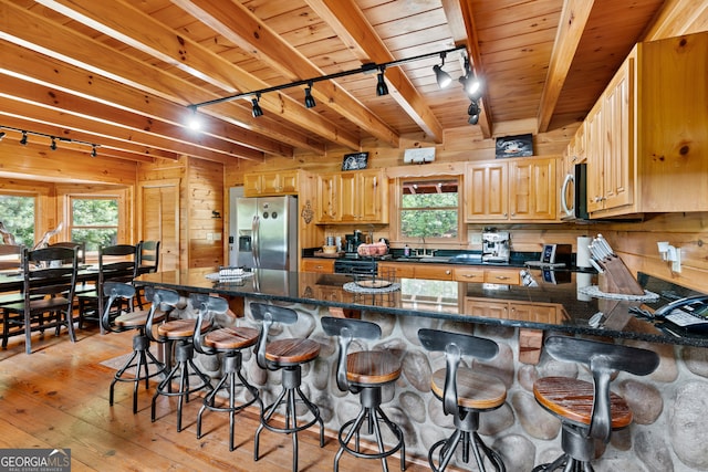 kitchen featuring a kitchen bar, a healthy amount of sunlight, and stainless steel appliances