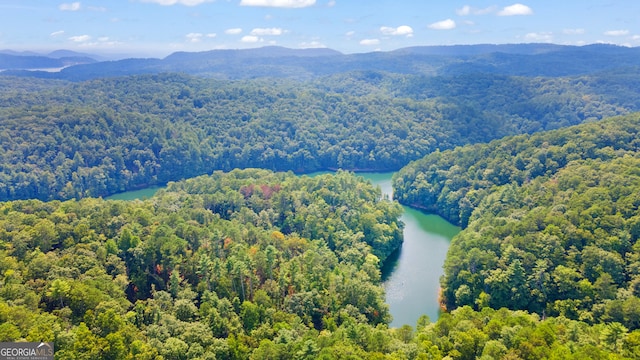 birds eye view of property with a water and mountain view