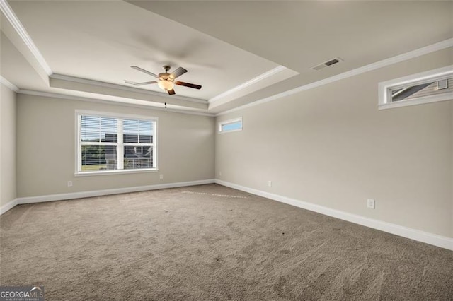 spare room with a raised ceiling, ceiling fan, and carpet flooring