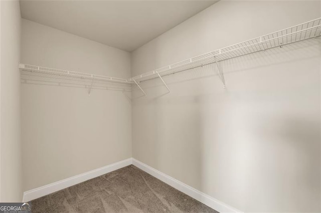 spacious closet featuring carpet