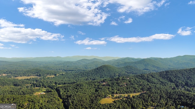 view of mountain feature