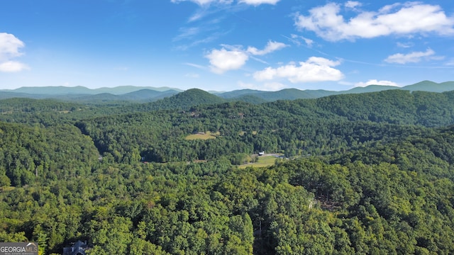 property view of mountains