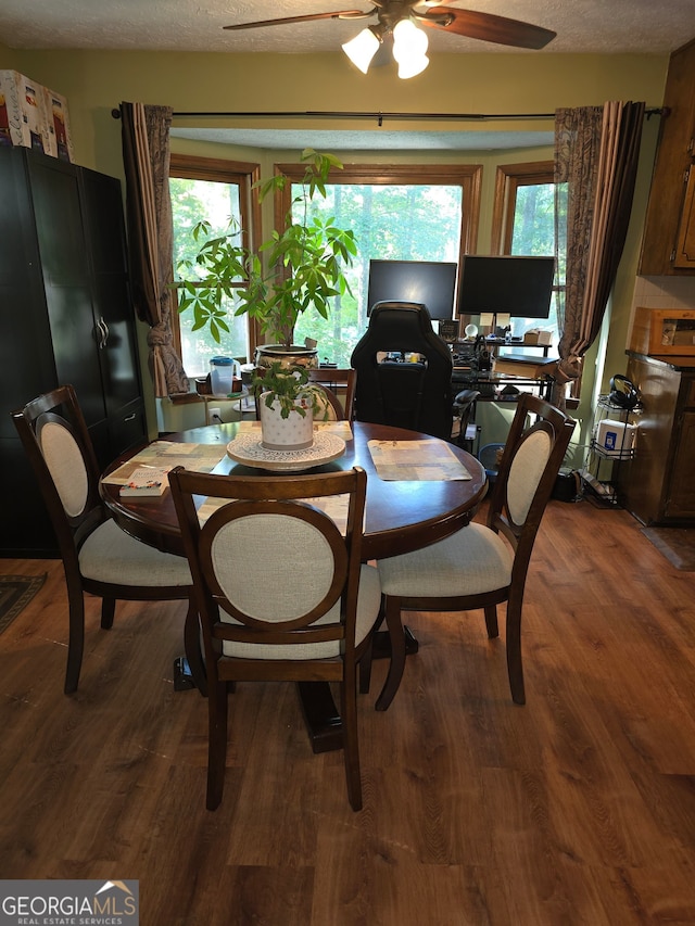 dining area featuring a wealth of natural light, ceiling fan, hardwood / wood-style flooring, and a textured ceiling