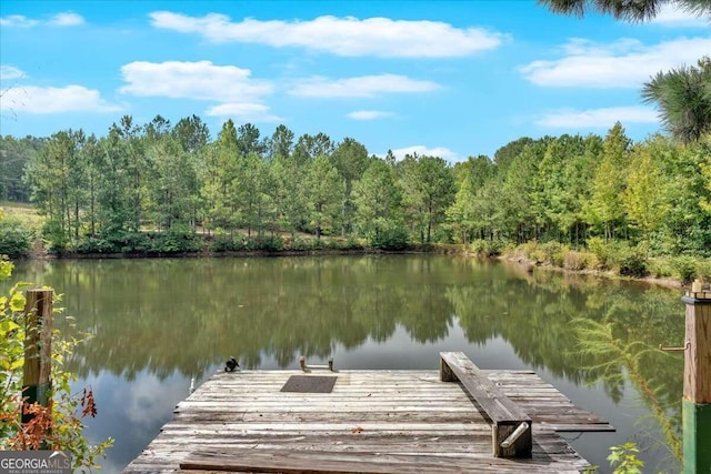 view of dock with a water view