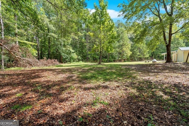 view of yard with a shed