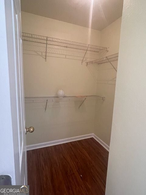 spacious closet featuring dark hardwood / wood-style floors