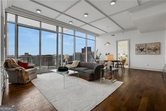 living room with floor to ceiling windows and dark hardwood / wood-style flooring