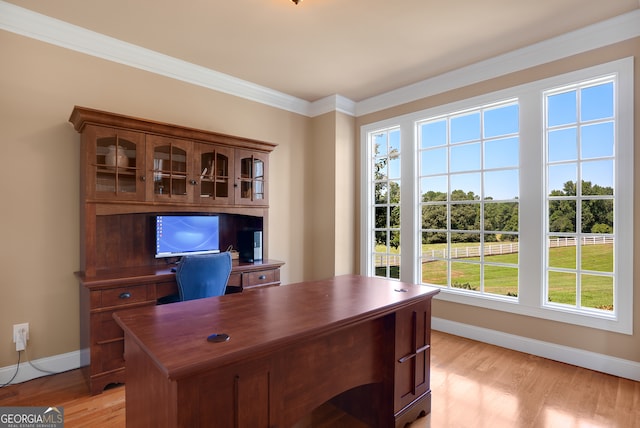 office area with ornamental molding and light hardwood / wood-style flooring