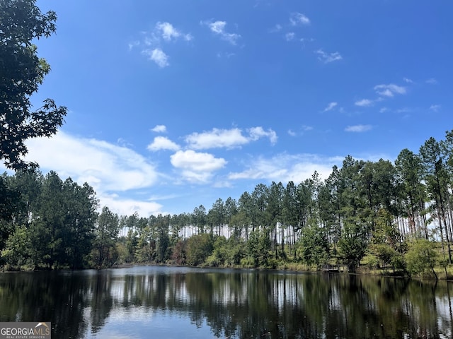 0 US Highway 80, Adrian GA, 31002 land for sale