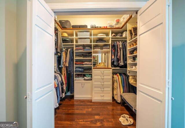 walk in closet featuring dark hardwood / wood-style floors